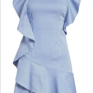 Ted Baker women’s dress